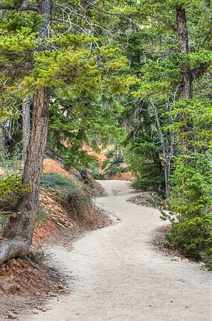 hiking path bryce canyon national park utah